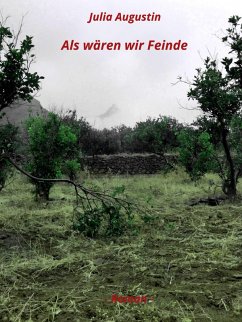 Cover Als wären wir Feinde (eBook, ePUB)