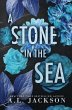 A Stone in the Sea (Special Edition... - Bild 1