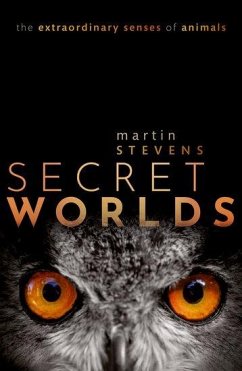 Cover Secret Worlds