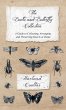Beetle and Butterfly Collection - A... - Bild 1