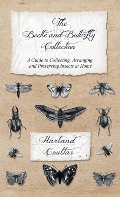 Beetle and Butterfly Collection - A Guide to Collecting, Arranging and Preserving Insects at Home - Coultas, Harland