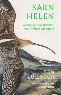 Sarn Helen - Bullough, Tom