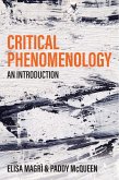 Critical Phenomenology (eBook, ePUB)