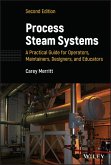 Process Steam Systems (eBook, ePUB)