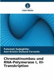 Chromatinumbau und RNA-Polymerase I, III-Transkription