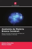 Anatomia da Matéria Branca Cerebral: