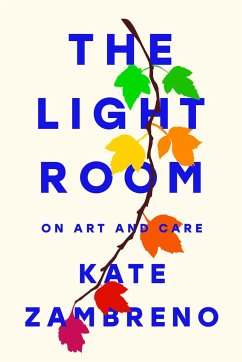 The Light Room - Zambreno, Kate