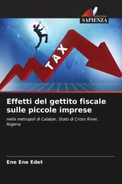 Effetti del gettito fiscale sulle piccole imprese - Edet, Ene Ene