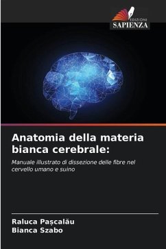 Anatomia della materia bianca cerebrale: - Pa_calau, Raluca;Szabo, Bianca