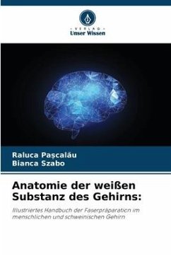 Anatomie der weißen Substanz des Gehirns: - Pa_calau, Raluca;Szabo, Bianca