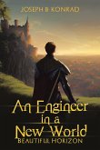 An Engineer in a New World