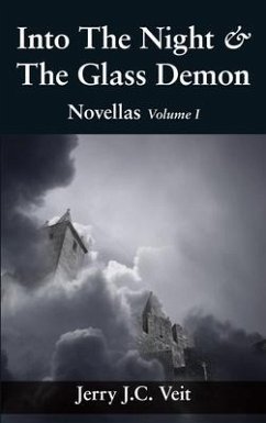 Into The Night & The Glass Demon (eBook, ePUB) - Veit, Jerry