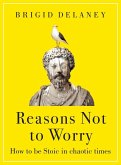 Reasons Not to Worry (eBook, ePUB)