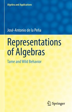 Representations of Algebras (eBook, PDF) - de la Peña, José-Antonio