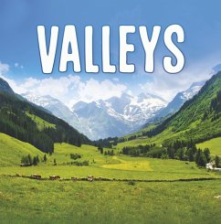 Cover Valleys (eBook, ePUB)