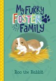 Roo the Rabbit (eBook, ePUB)