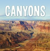 Canyons (eBook, ePUB)