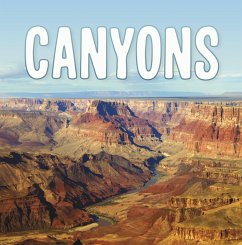 Cover Canyons (eBook, ePUB)