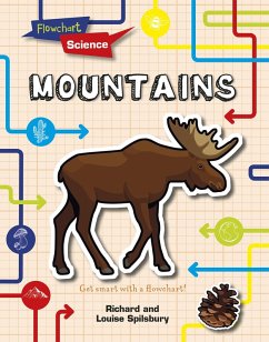 Mountains (eBook, PDF) - Spilsbury, Louise