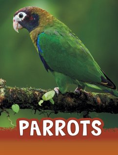 Parrots (eBook, ePUB) - Schuh, Mari Parrots (eBook, ePUB) - Schuh, Mari