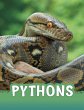 Pythons (eBook, ePUB) - Bild 1