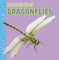 Fast Facts About Dragonflies (eBook, ePUB) - Garstecki-Derkovitz, Julia