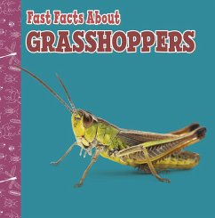 Fast Facts About Grasshoppers (eBook, ePUB) - Garstecki-Derkovitz, Julia
