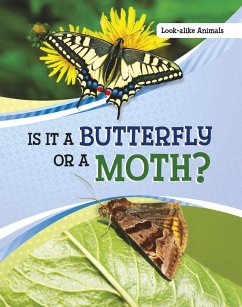 Is It a Butterfly or a Moth? (eBook, ePUB) - Katz, Susan B.