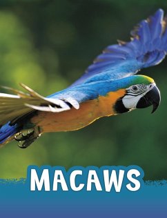 Macaws (eBook, ePUB) - Jaycox, Jaclyn