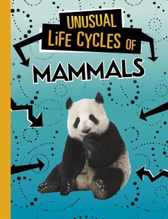 Unusual Life Cycles of Mammals (eBook, ePUB) - Jaycox, Jaclyn