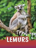 Lemurs (eBook, ePUB)