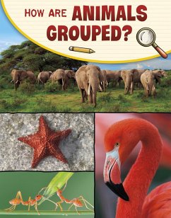 How Are Animals Grouped? (eBook, ePUB) - Simons, Lisa M. Bolt