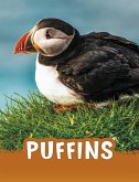 Puffins (eBook, ePUB) Puffins (eBook, ePUB)