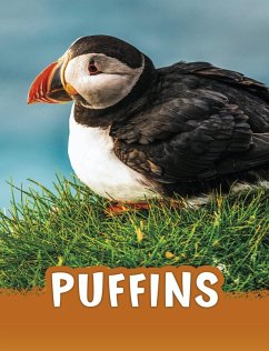 Cover Puffins (eBook, ePUB)