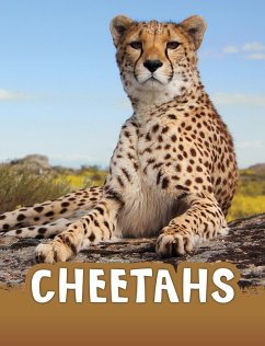 Cover Cheetahs (eBook, ePUB)