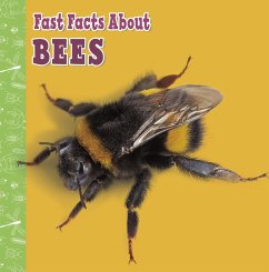 Cover Fast Facts About Bees (eBook, ePUB)