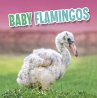 Baby Flamingos (eBook, ePUB) - Bild 1