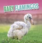 Baby Flamingos (eBook, ePUB) Baby Flamingos (eBook, ePUB)