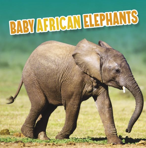 Baby African Elephants (eBook, ePUB)
