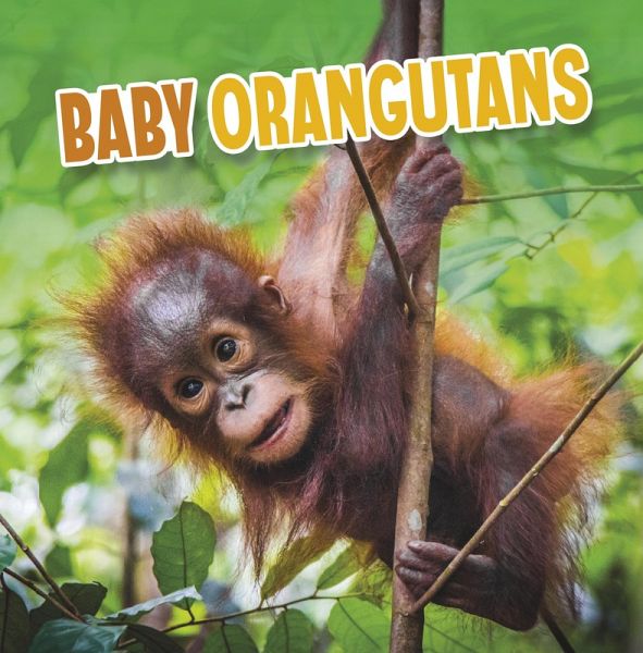 Baby Orangutans (eBook, ePUB)