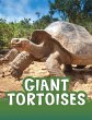 Giant Tortoises (eBook, ePUB) - Bild 1