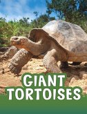 Giant Tortoises (eBook, ePUB)