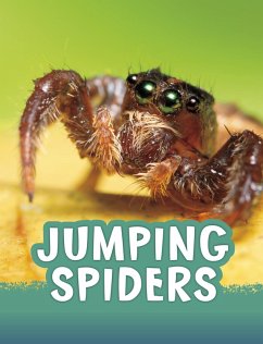 Jumping Spiders (eBook, ePUB) - Jaycox, Jaclyn