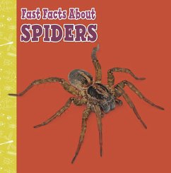 Fast Facts About Spiders (eBook, ePUB) - Garstecki-Derkovitz, Julia