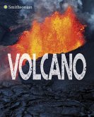 Volcano (eBook, ePUB)