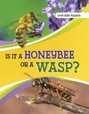 Is It a Honeybee or a Wasp? (eBook, ePUB) Is It a Honeybee or a Wasp? (eBook, ePUB)