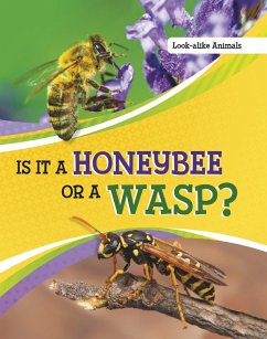 Is It a Honeybee or a Wasp? (eBook, ePUB) - Katz, Susan B.