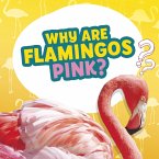 Why Are Flamingos Pink? (eBook, ePUB)