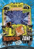 Destruction Zone - Express Edition (eBook, ePUB)