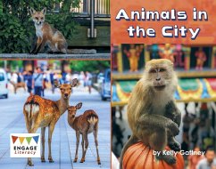 Cover Animals in the City (eBook, PDF)
